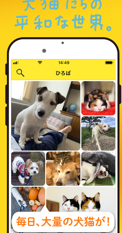 愛犬情報共有サービス：写真シェア＆掲示板でコミュニティ！