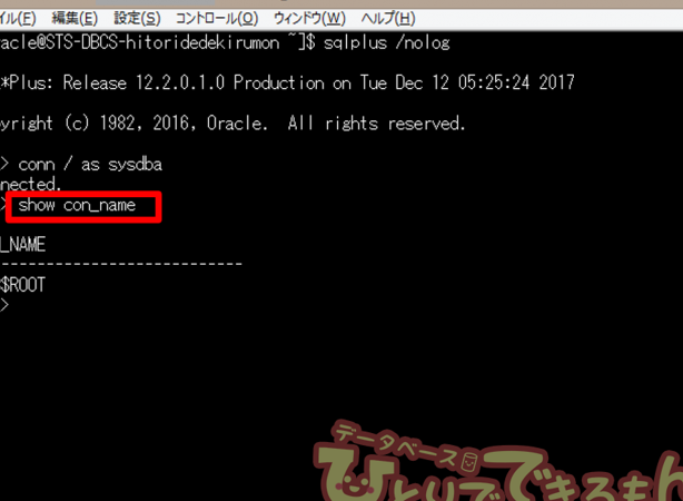 Oracle SQL*Plus32bit DB接続時にKERNELBASE.dllエラー?解決策を紹介